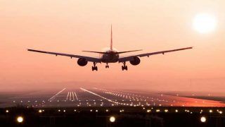Lockdown 2.0: All International Flights Cancelled Till May 3, VISAs Stand Suspended